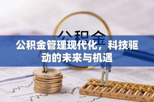 新疆公积金管理现代化，科技驱动的未来与机遇