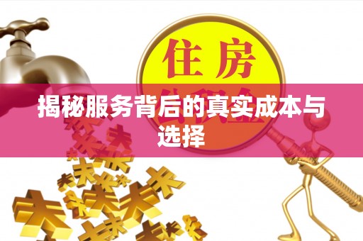 新疆揭秘服务背后的真实成本与选择