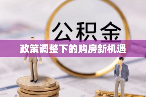 新疆政策调整下的购房新机遇