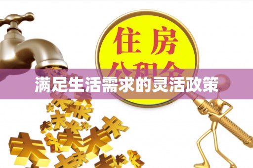 新疆满足生活需求的灵活政策