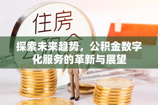 新疆探索未来趋势，公积金数字化服务的革新与展望