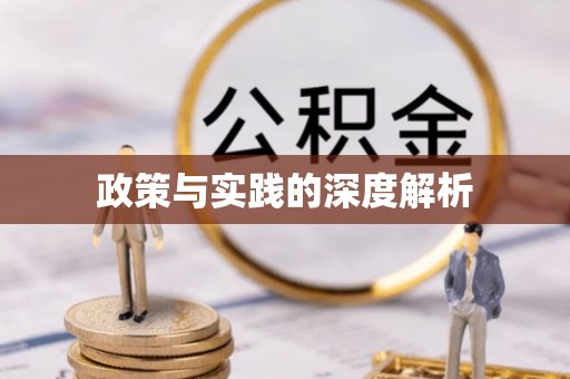 新疆政策与实践的深度解析