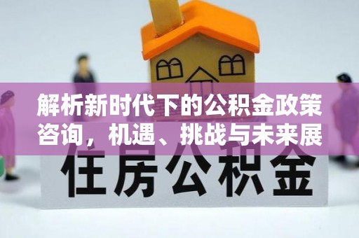 新疆解析新时代下的公积金政策咨询，机遇、挑战与未来展望