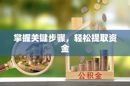 新疆掌握关键步骤，轻松提取资金