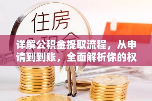 新疆详解公积金提取流程，从申请到到账，全面解析你的权益与操作步骤