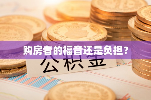 新疆购房者的福音还是负担？