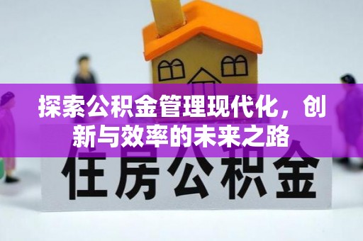 新疆探索公积金管理现代化，创新与效率的未来之路