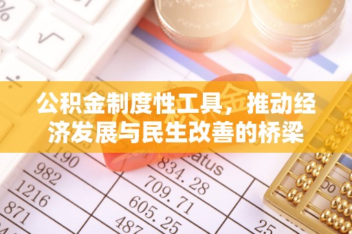 新疆公积金制度性工具，推动经济发展与民生改善的桥梁