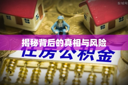 新疆揭秘背后的真相与风险