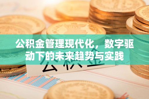新疆公积金管理现代化，数字驱动下的未来趋势与实践