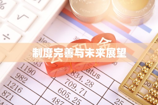 新疆制度完善与未来展望