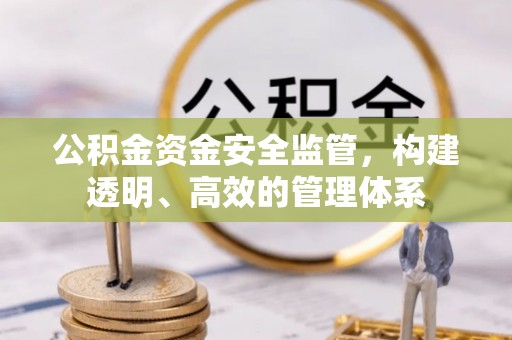 新疆公积金资金安全监管，构建透明、高效的管理体系