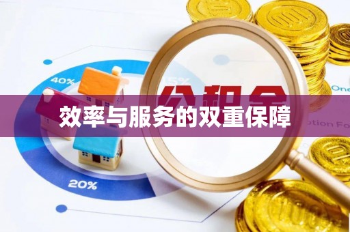 新疆效率与服务的双重保障