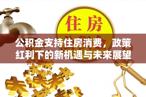 新疆公积金支持住房消费，政策红利下的新机遇与未来展望