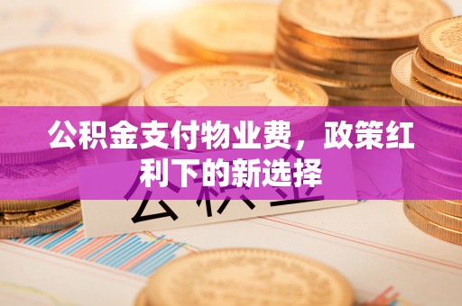 新疆公积金支付物业费，政策红利下的新选择