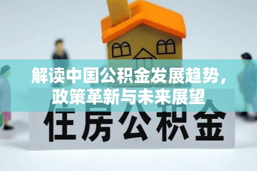 新疆解读中国公积金发展趋势，政策革新与未来展望