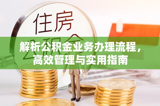 新疆解析公积金业务办理流程，高效管理与实用指南