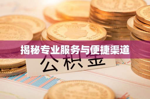 新疆揭秘专业服务与便捷渠道