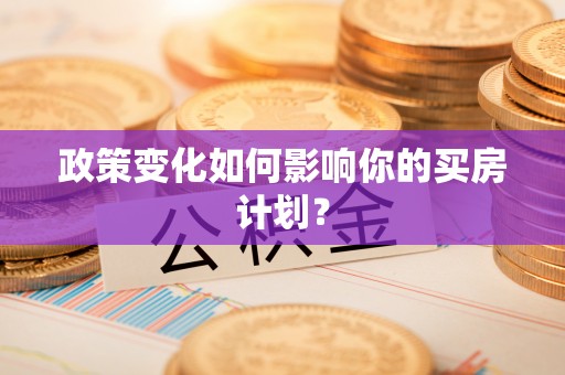 新疆政策变化如何影响你的买房计划？