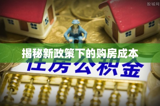 新疆揭秘新政策下的购房成本