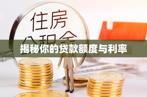 新疆揭秘你的贷款额度与利率