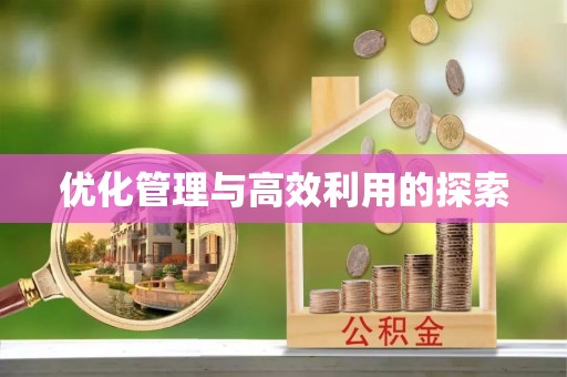 新疆优化管理与高效利用的探索