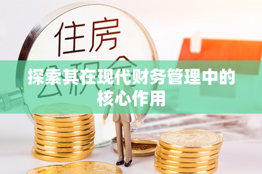 新疆探索其在现代财务管理中的核心作用