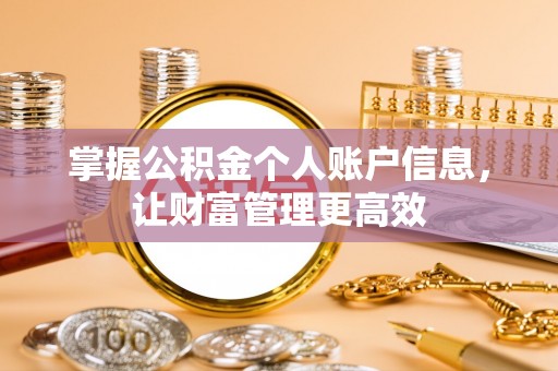 新疆掌握公积金个人账户信息，让财富管理更高效