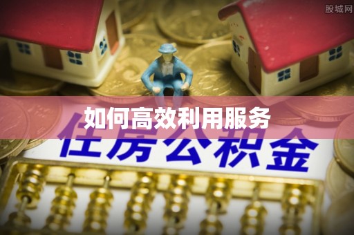新疆如何高效利用服务