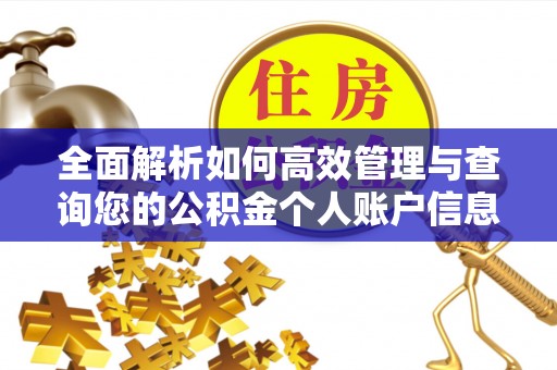 新疆全面解析如何高效管理与查询您的公积金个人账户信息