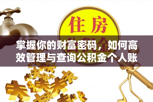 新疆掌握你的财富密码，如何高效管理与查询公积金个人账户信息