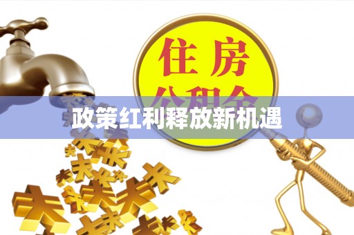 新疆政策红利释放新机遇