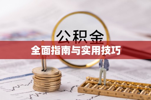 新疆全面指南与实用技巧