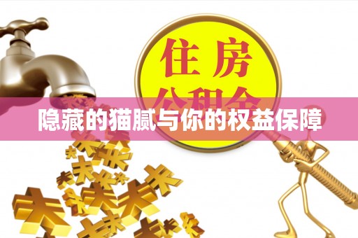 新疆隐藏的猫腻与你的权益保障