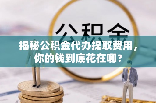 新疆揭秘公积金代办提取费用，你的钱到底花在哪？
