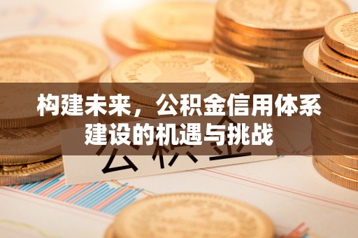 新疆构建未来，公积金信用体系建设的机遇与挑战