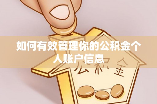 新疆如何有效管理你的公积金个人账户信息