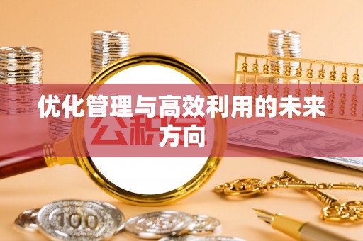 新疆优化管理与高效利用的未来方向