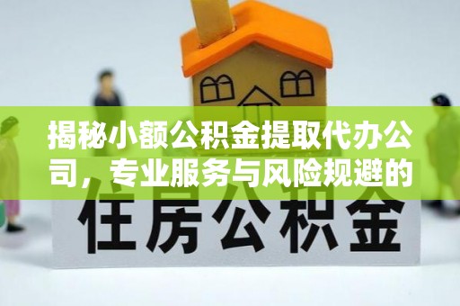 新疆揭秘小额公积金提取代办公司，专业服务与风险规避的平衡艺术