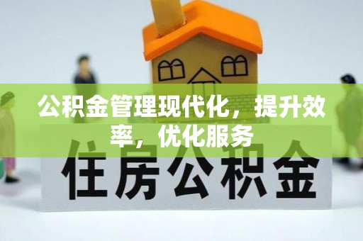 新疆公积金管理现代化，提升效率，优化服务