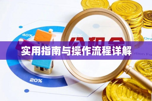 新疆实用指南与操作流程详解