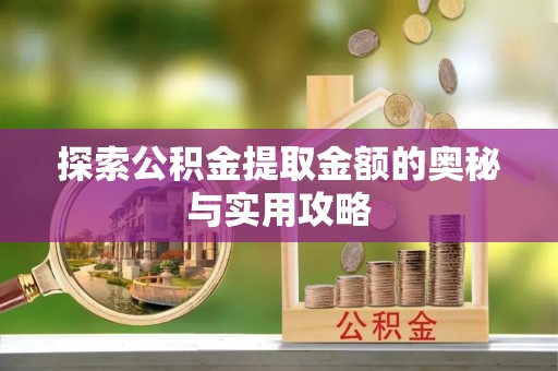 新疆探索公积金提取金额的奥秘与实用攻略