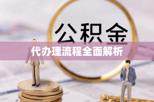新疆代办理流程全面解析