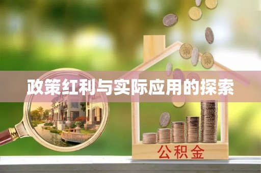 新疆政策红利与实际应用的探索