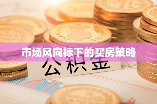 新疆市场风向标下的买房策略