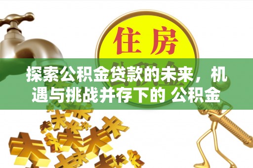 新疆探索公积金贷款的未来，机遇与挑战并存下的 公积金贷款风险防控