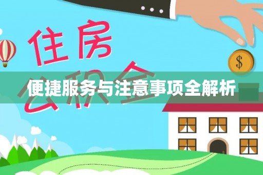 新疆便捷服务与注意事项全解析