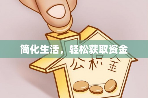 新疆简化生活，轻松获取资金