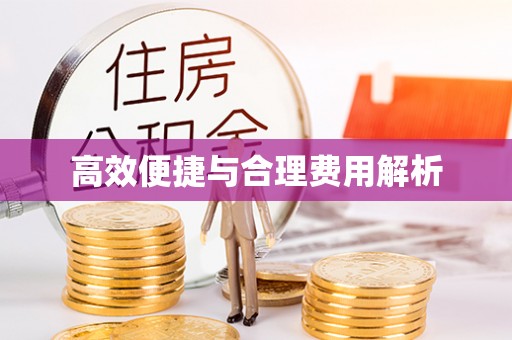 新疆高效便捷与合理费用解析