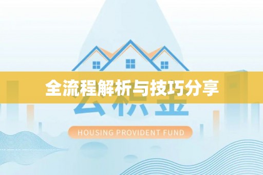 新疆全流程解析与技巧分享